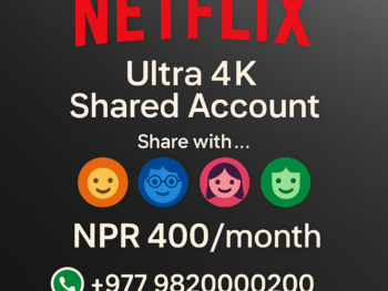 Ultimate Netflix Account Solutions – Private & Shared Plans